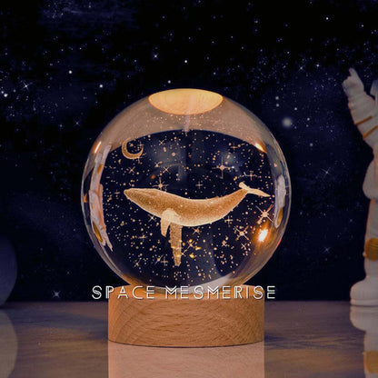 🎁Ends Today: 70% OFF! 🏆 2026 Best Seller
