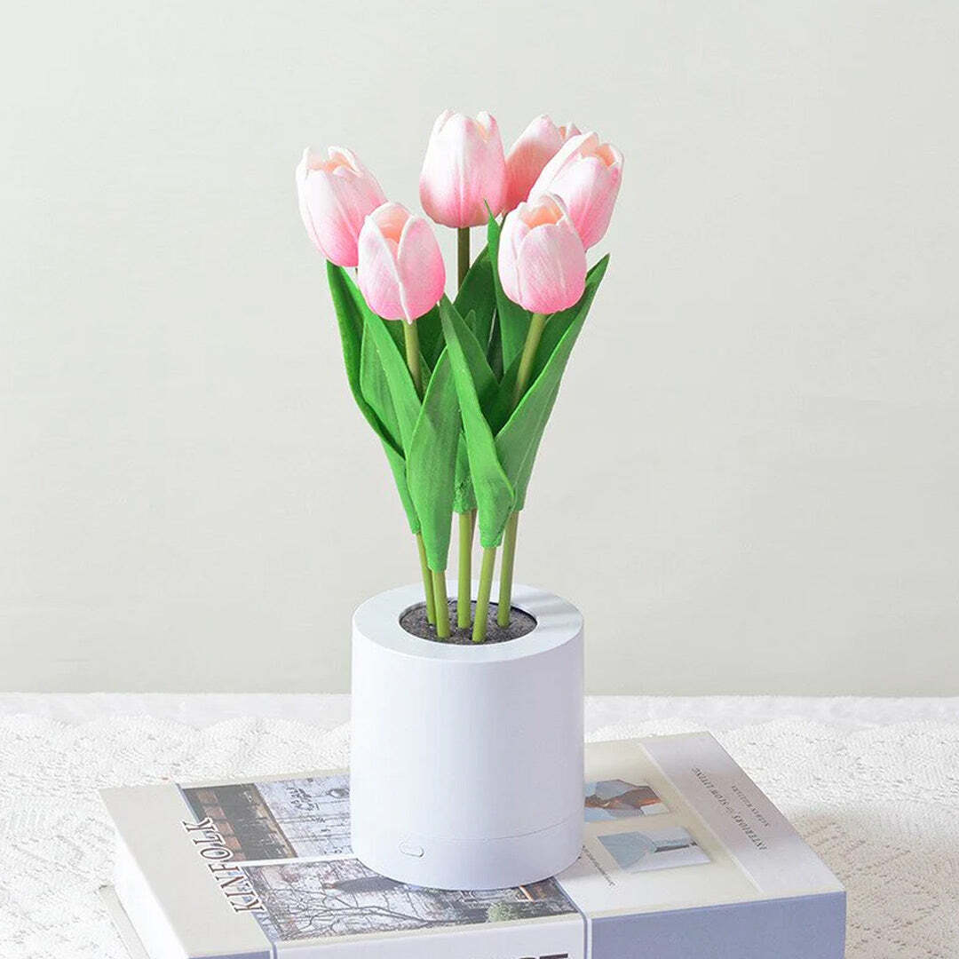 Tulip-pink