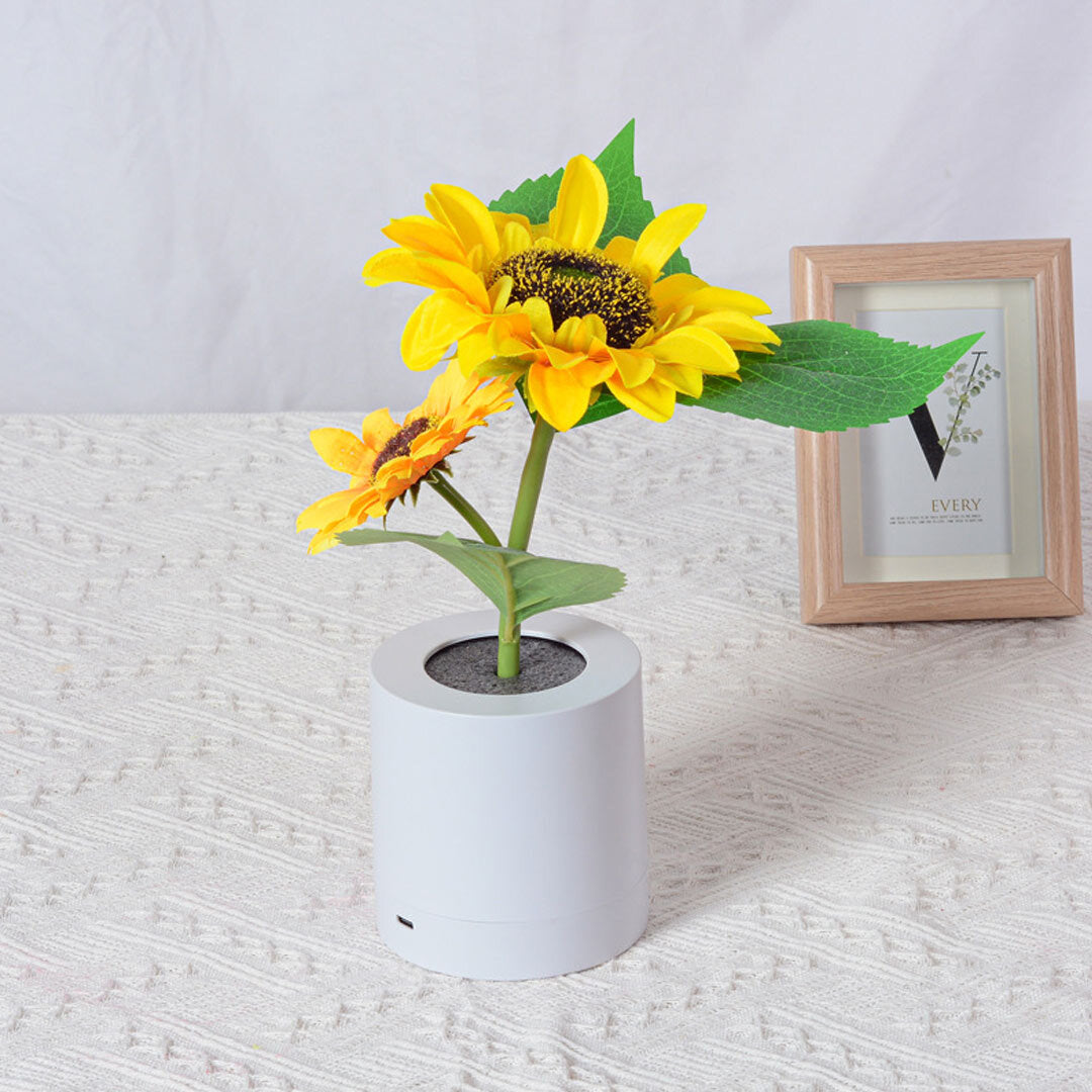 🎁Ends Today: 70% OFF! 🏆 2026 Best Seller