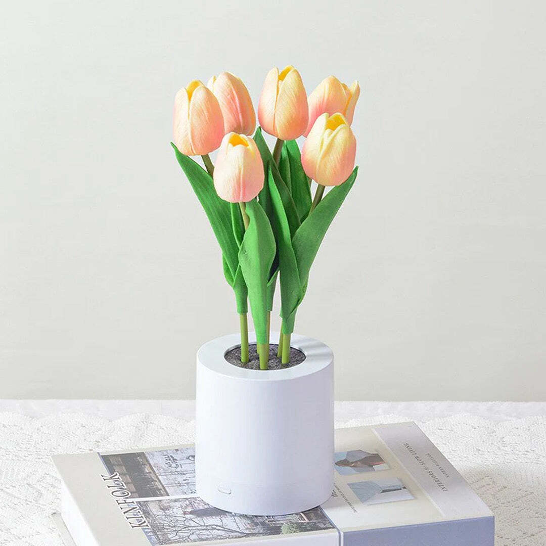 Tulip-champagne